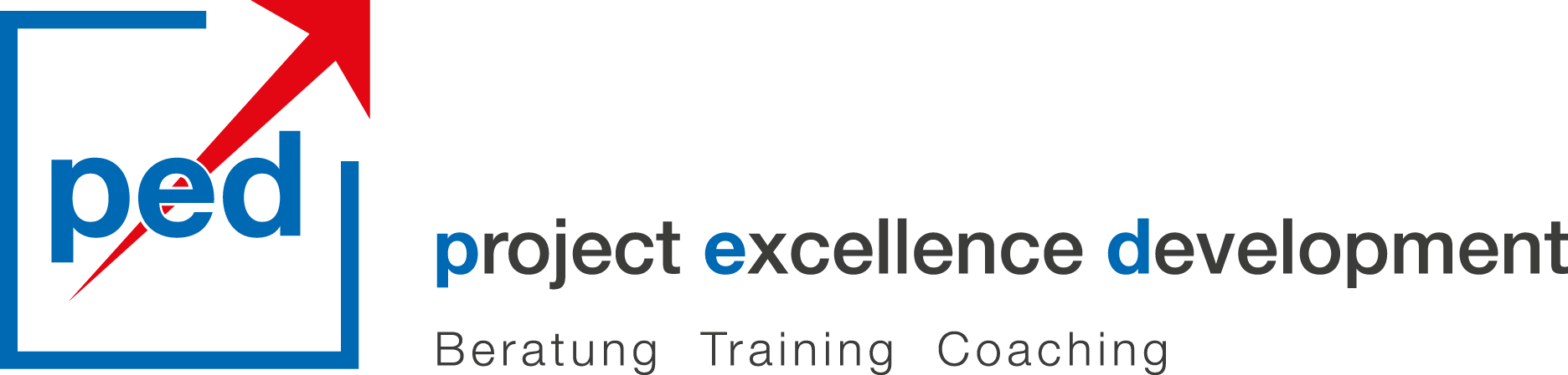 project excellence development